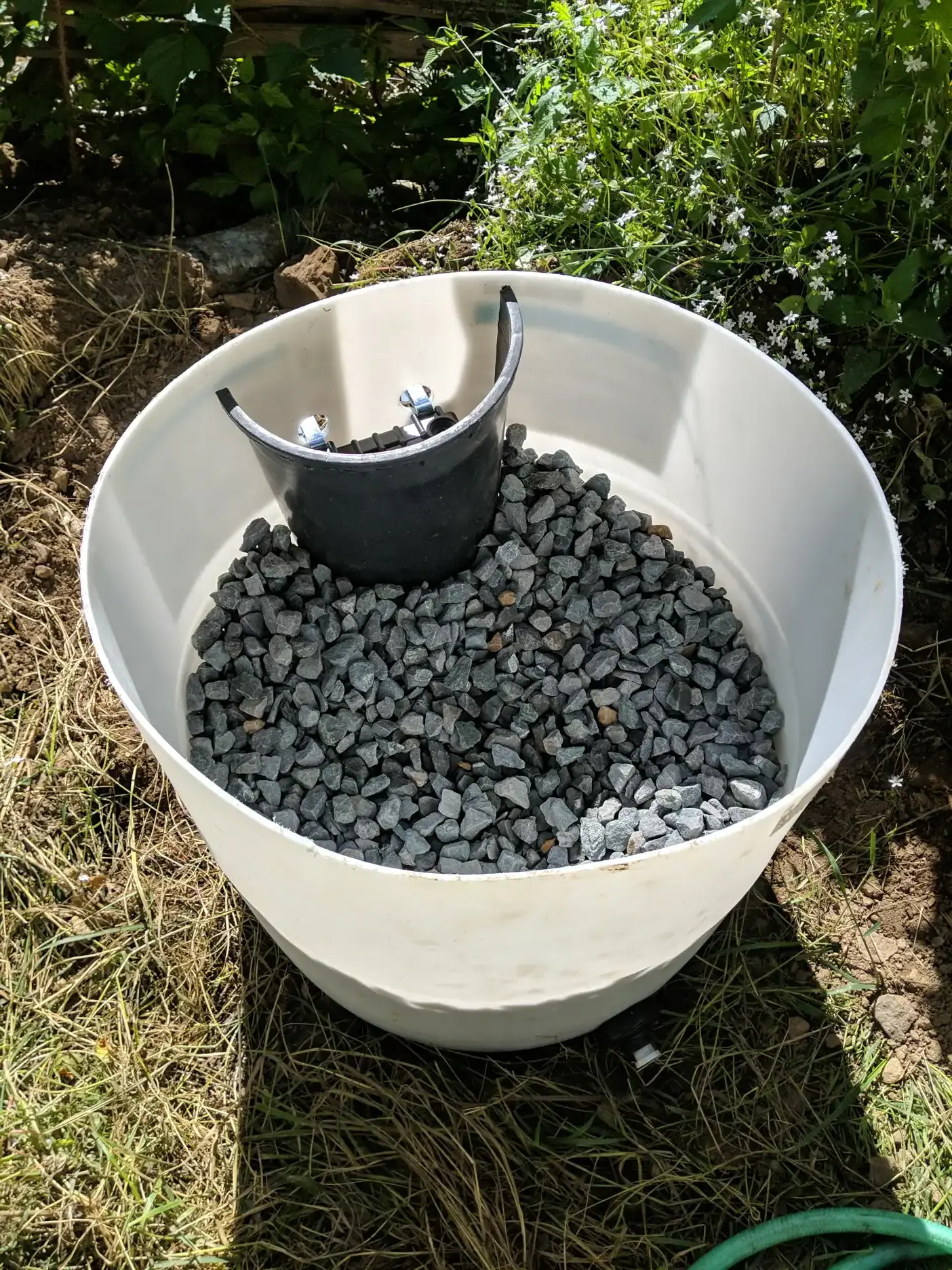 halved 3 gallon pot used for automatically watering Sarracenia