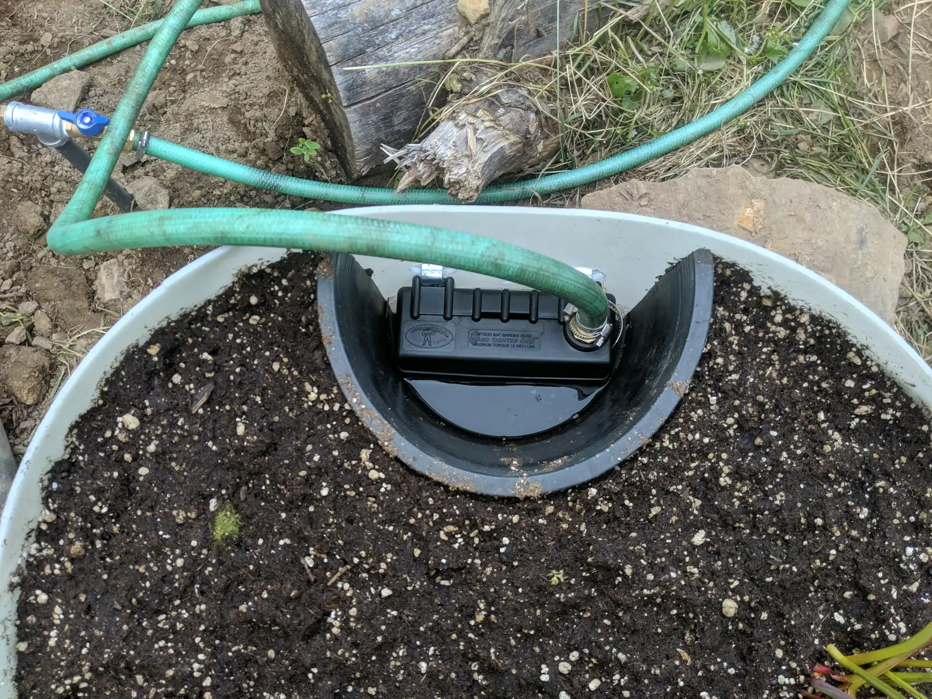 Little Giant trough float valve in a Sarracenia bog installation
