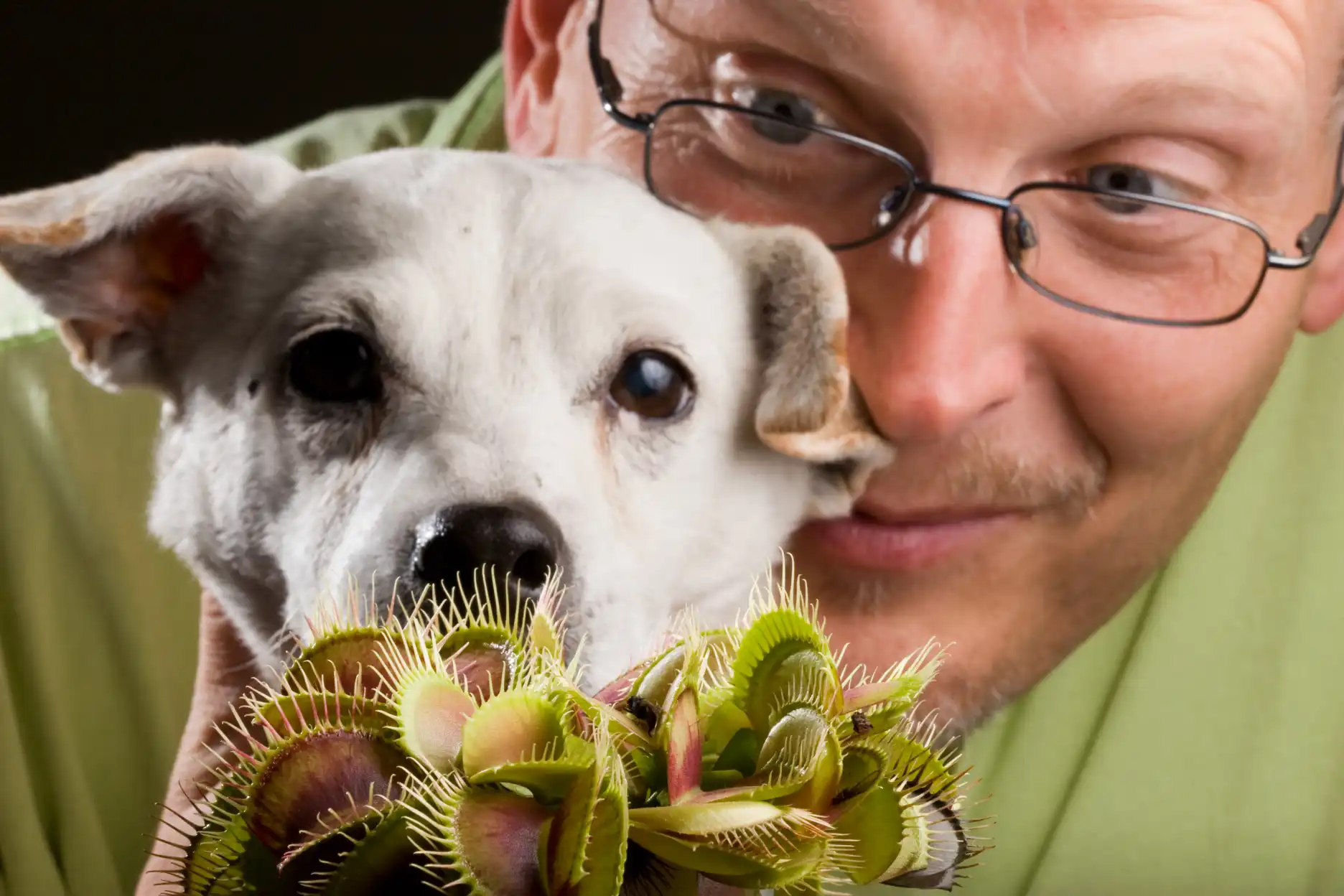 Man with venus flytrap and jack russel terrier
