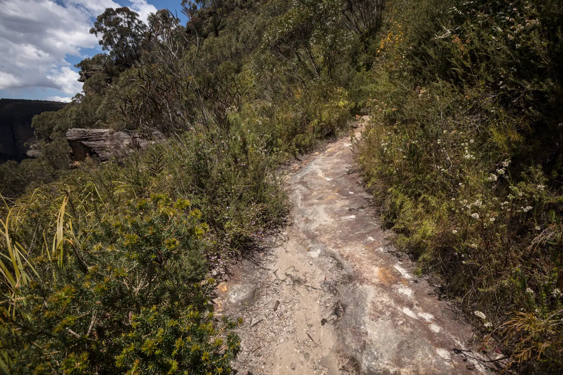 Trail section between Govett’s Leap and Horseshoe Falls