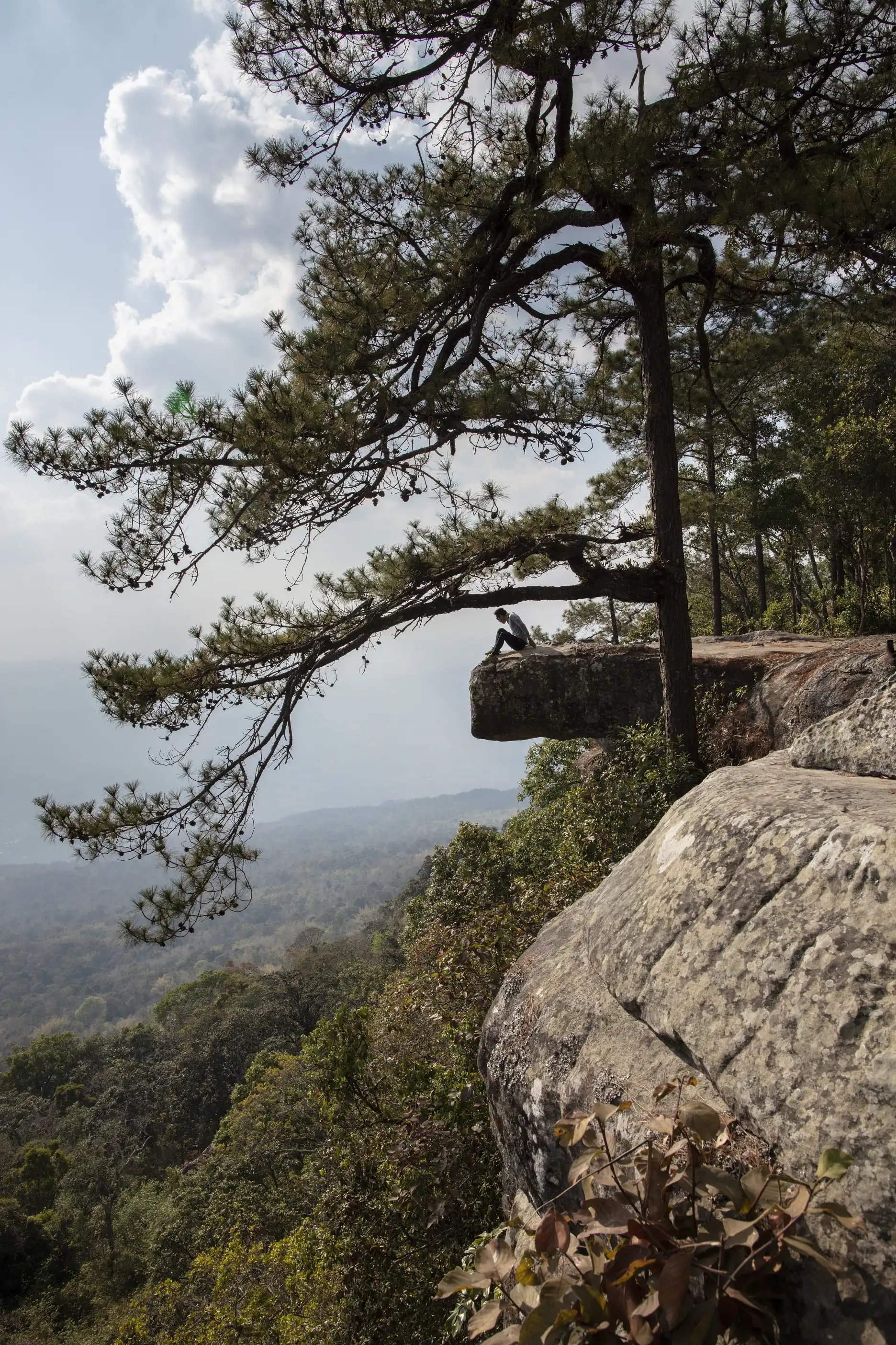 Lom Sak cliff at Phu Kradueng National Park