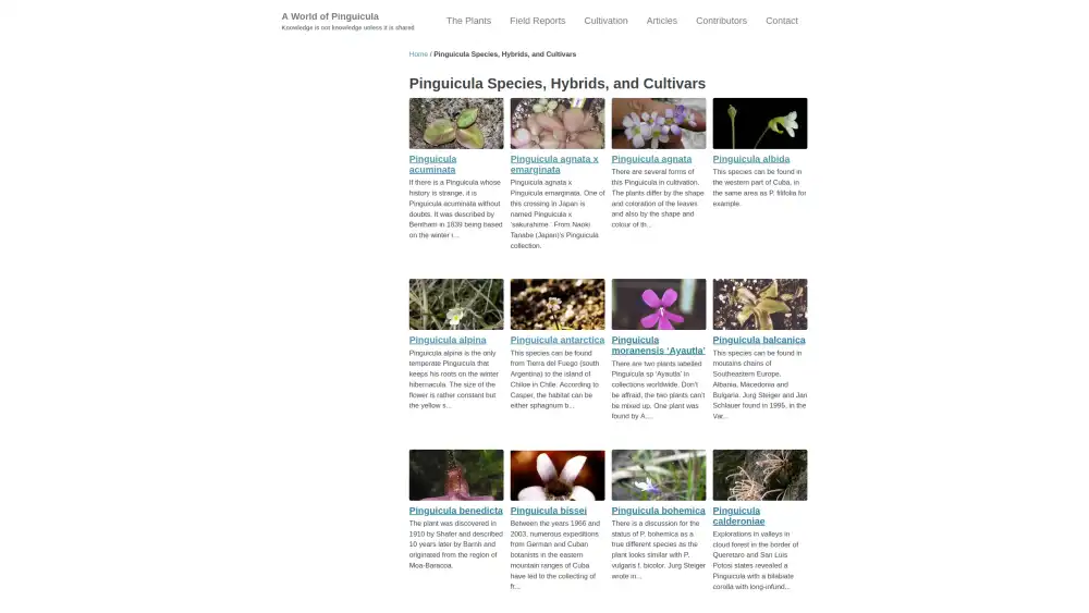 New website category page