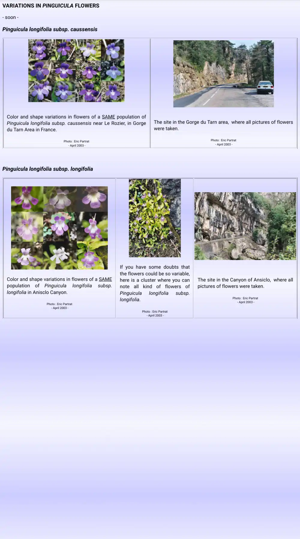 Old website page with photos viewed on mobile