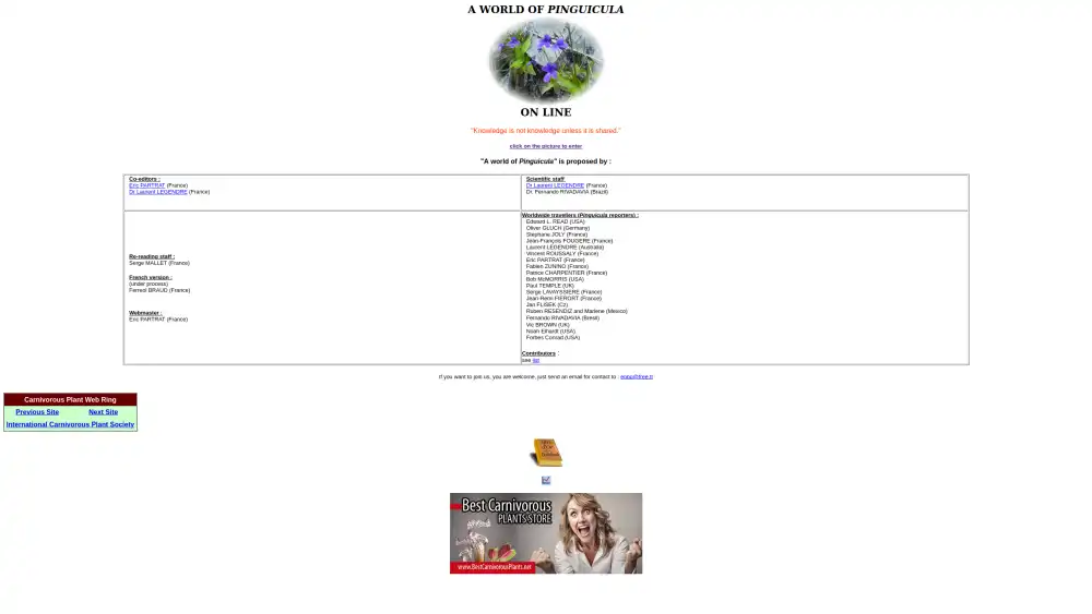 Old website homepage