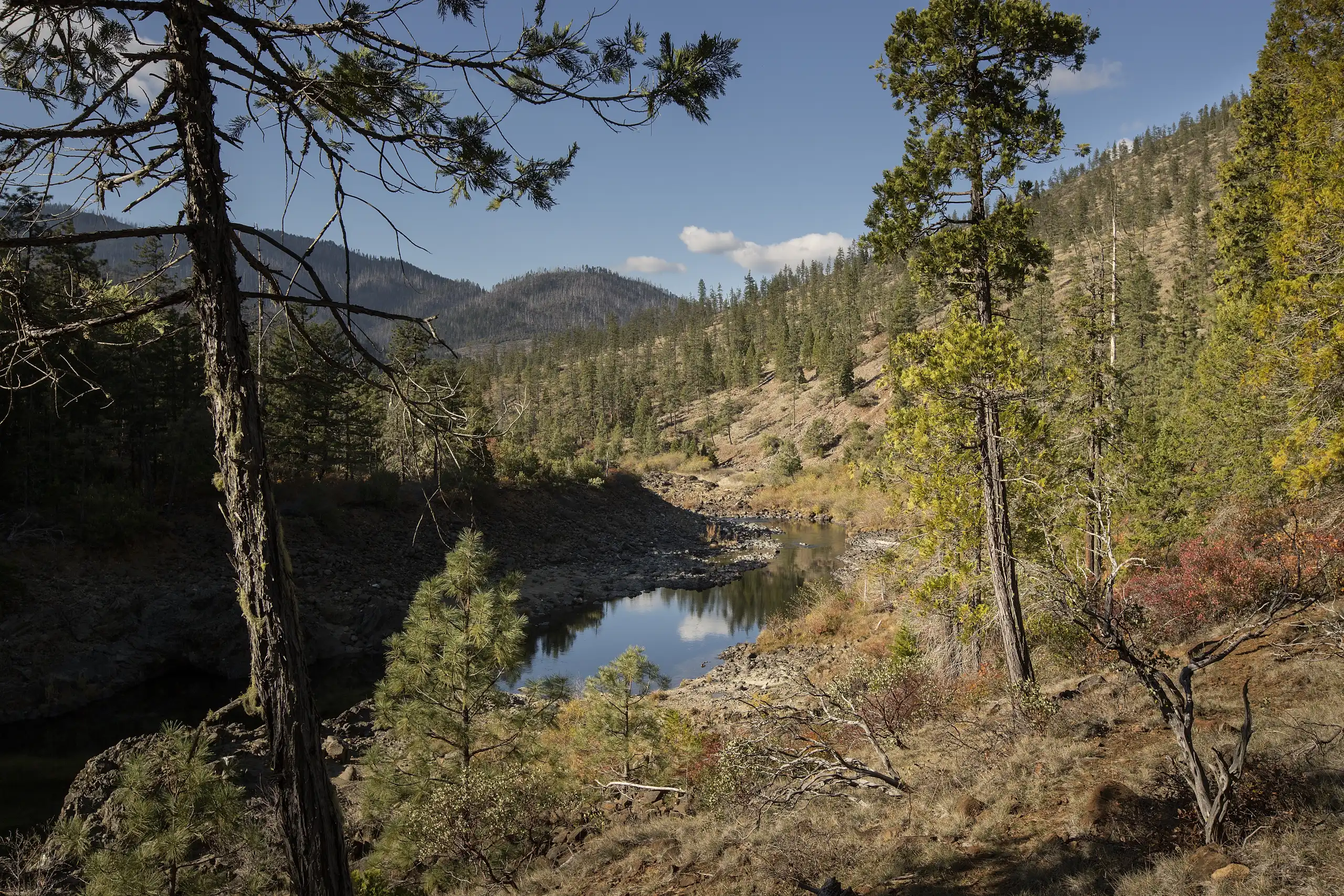 Landscape of the Illinois River and $8 Mountain in southern Oregon, home to Darlingtonia california.